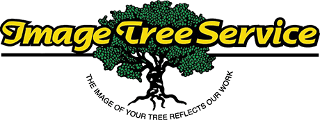 Image Tree Service